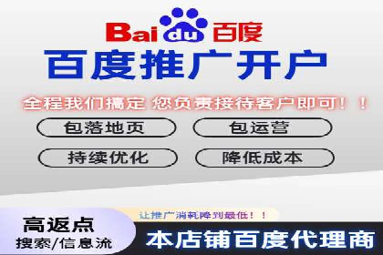 竞价排名中的数据分析和优化案例